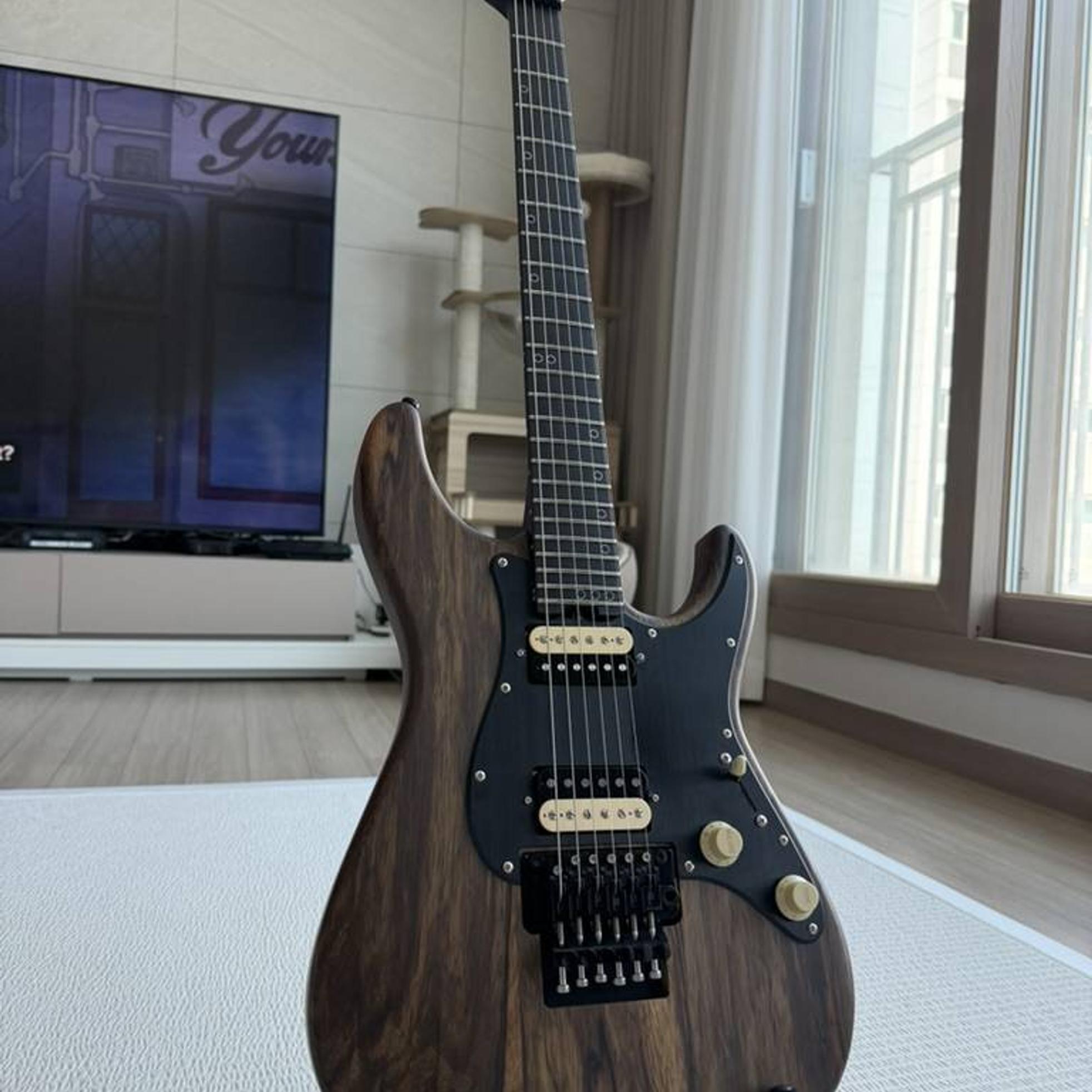 Schecter 쉑터 일레기타 팝니다 중고 7개월 사진 1