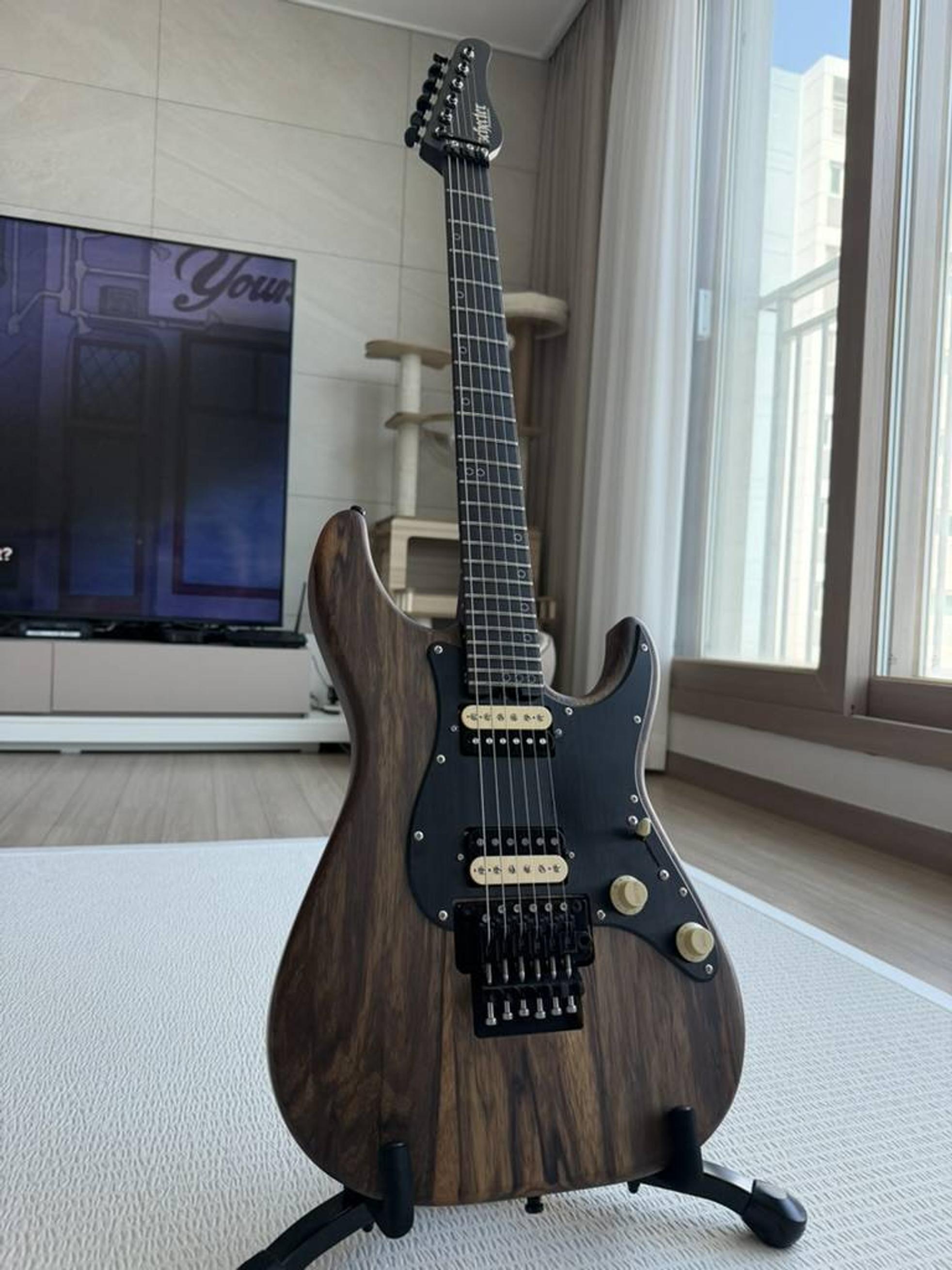 Schecter 쉑터 일레기타 팝니다 중고 7개월