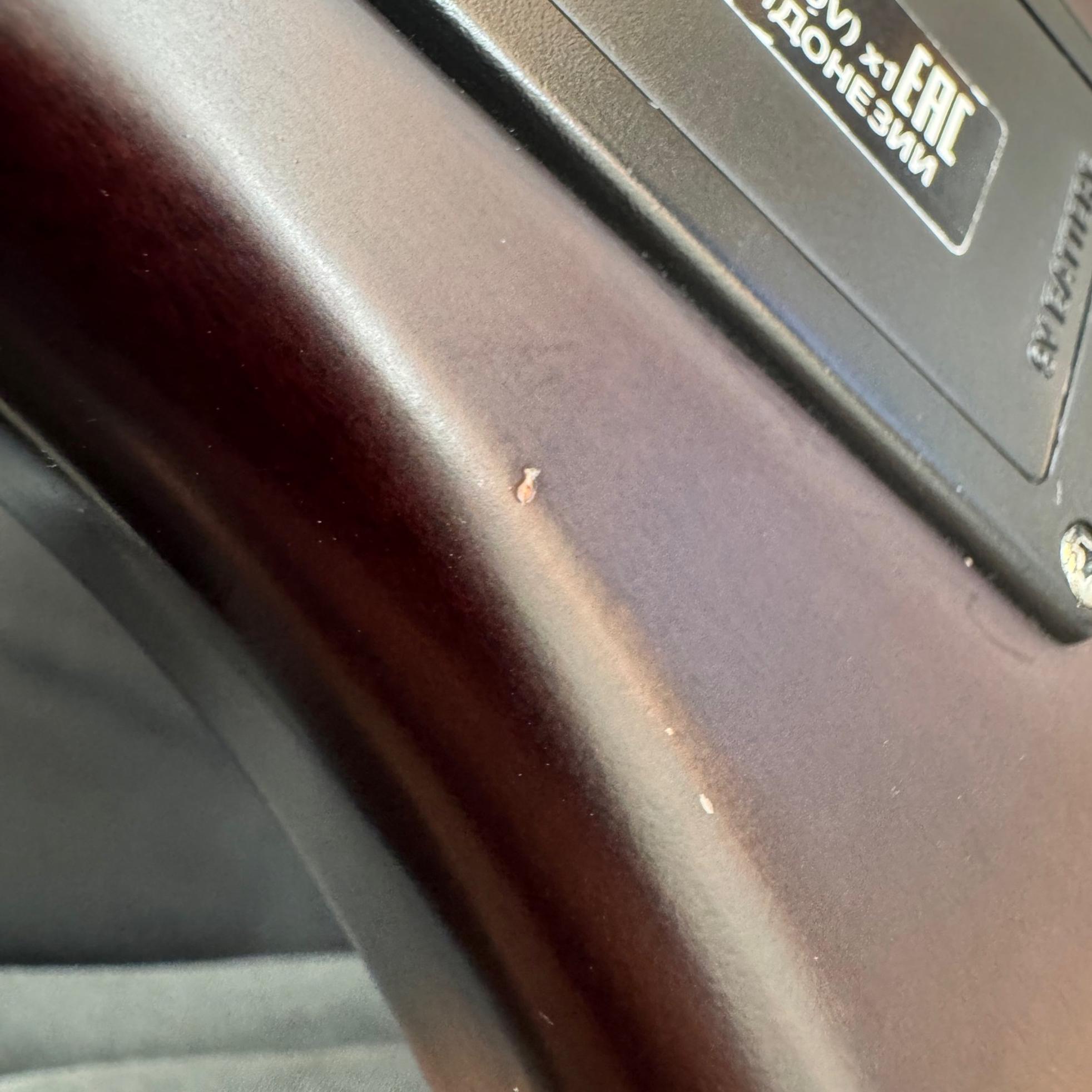 Yamaha TRBX504 사진 8