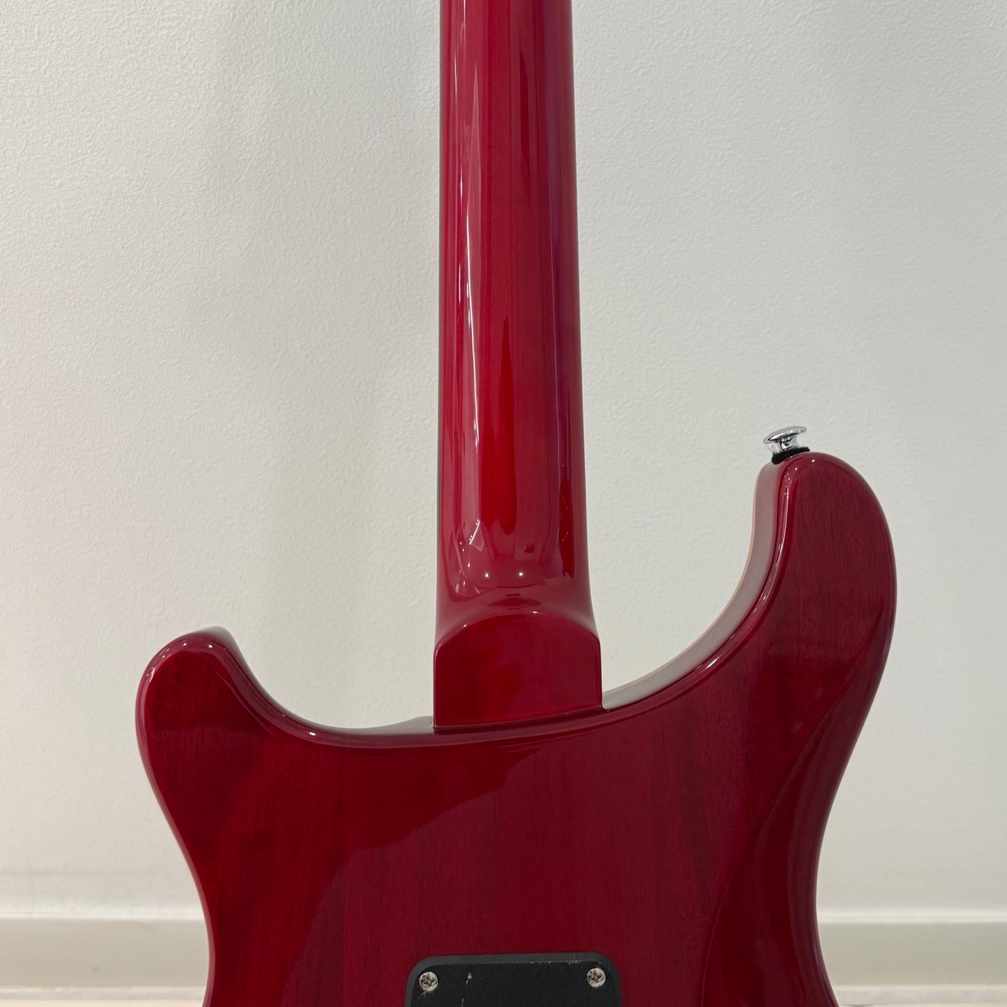 PRS Guitars [S급] PRS SE 2024 custom24 floyd 팝니다 사진 6