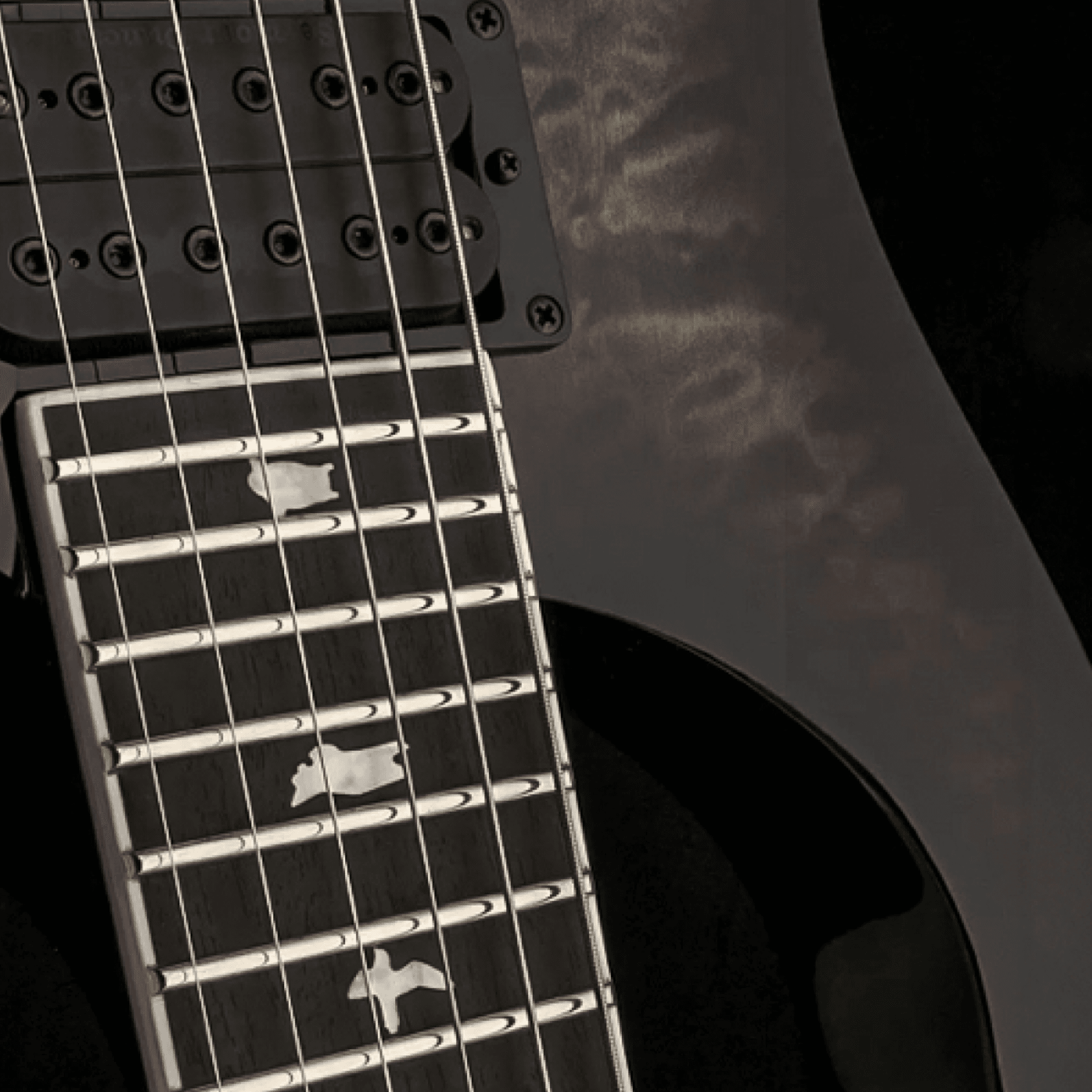 PRS Guitars PRS SE 2022 Mark Holcomb Signature - Holcomb Burst 사진 3