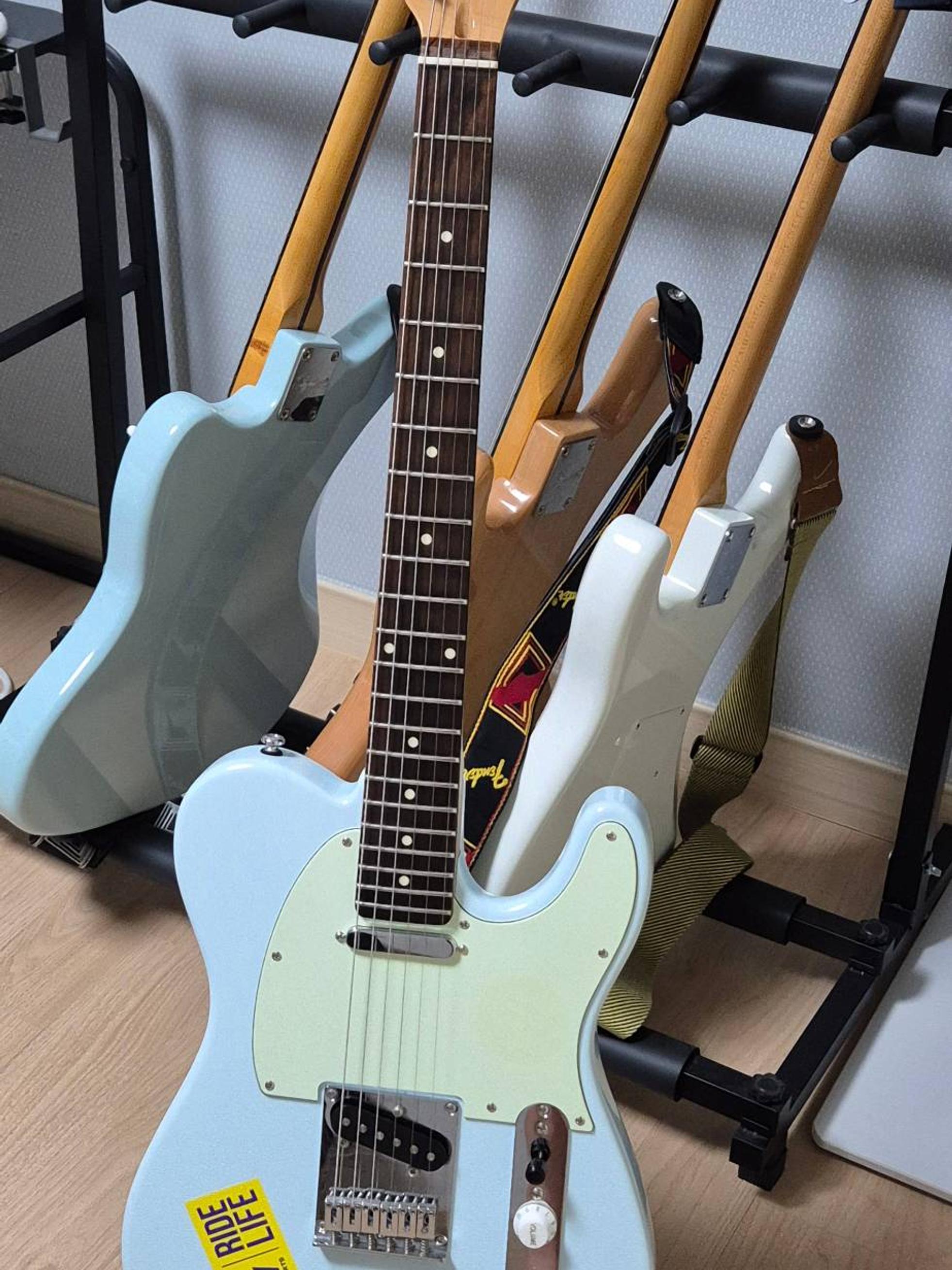 Sire SIRE Larry Carlton T3 사이어 래리칼튼 텔레