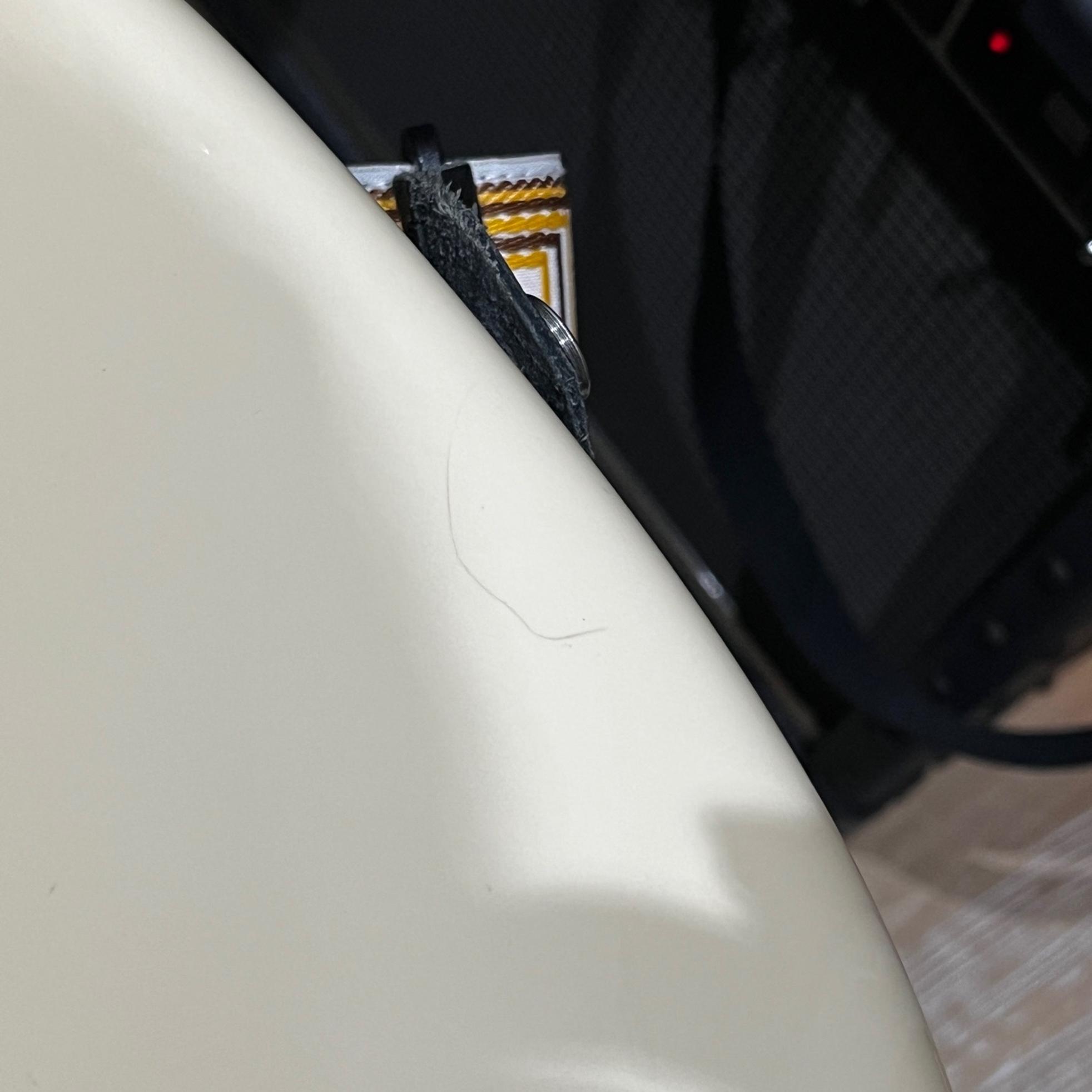 Fender American Professional Stratocaster 사진 2