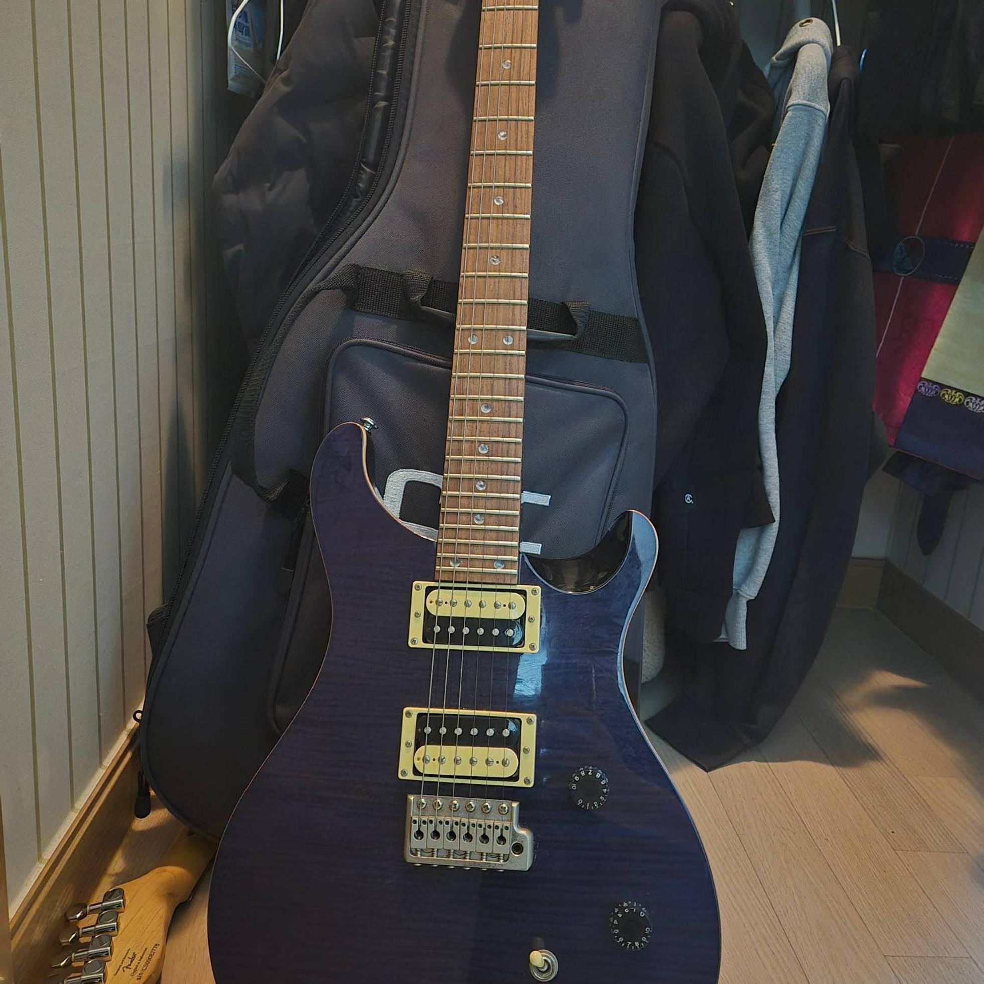PRS Guitars Prs SE Custom 24 사진 1