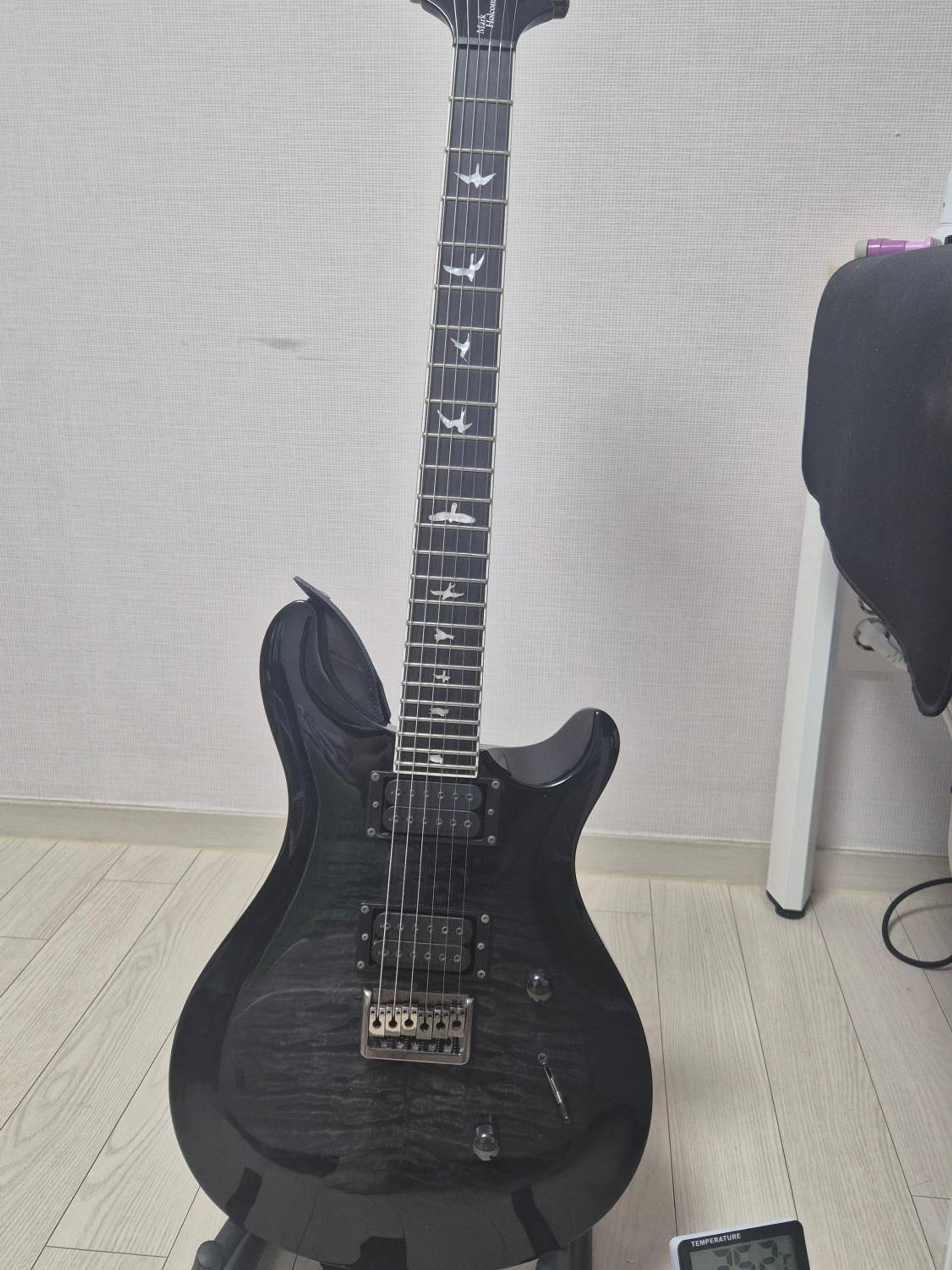 PRS Guitars PRS SE Mark Holcomb Signature