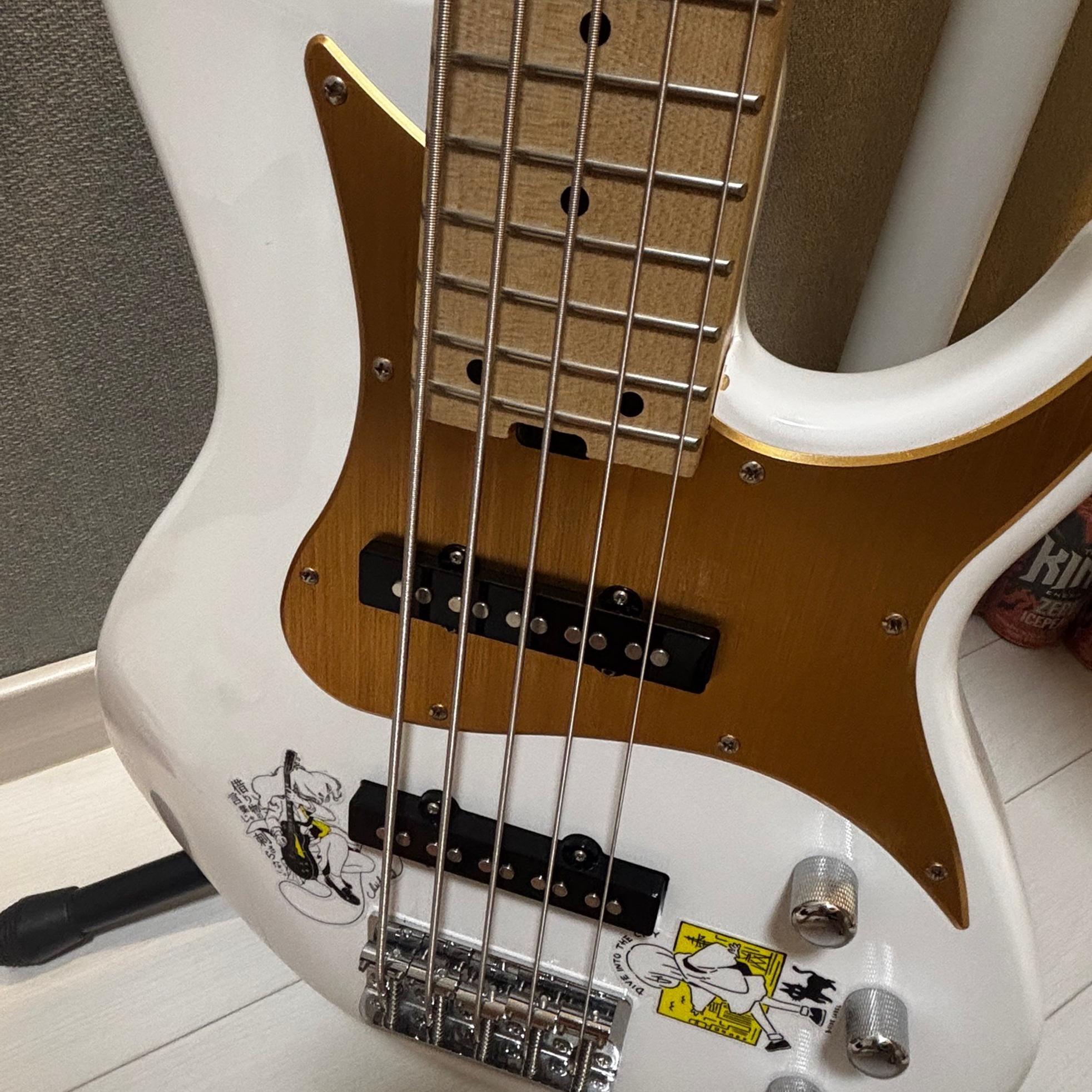 Aria Pro RSB series 사진 3