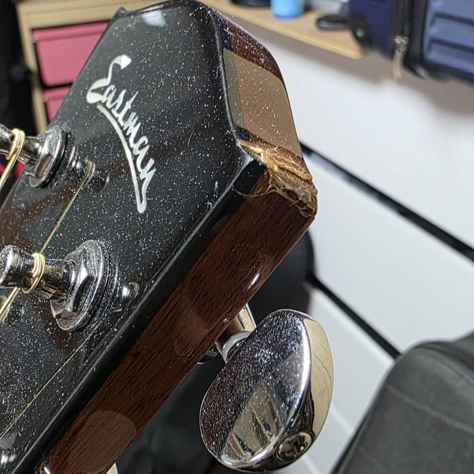 Eastman 이스트만 AC122CE DLX 사진 4
