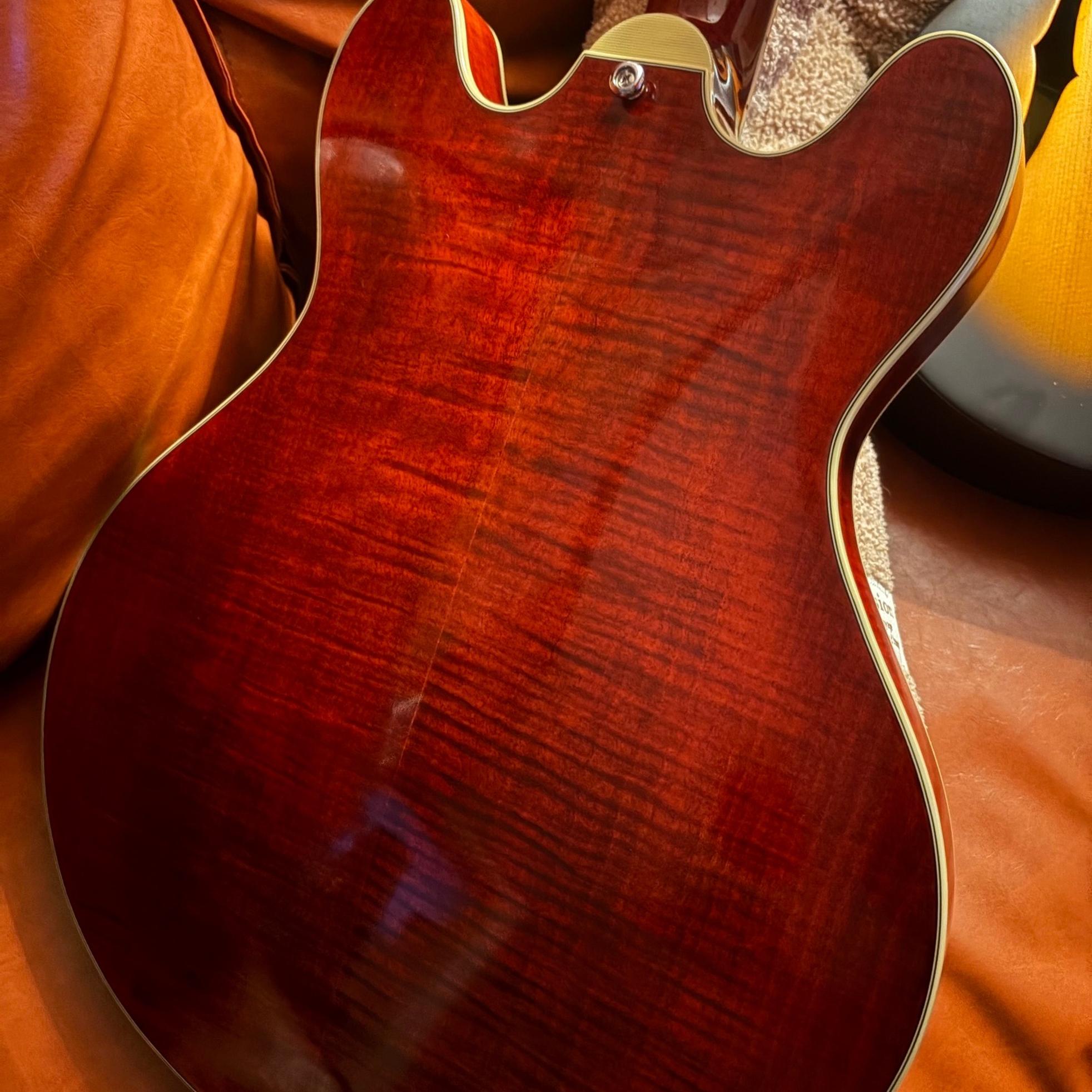 Eastman Eastman T486 / 이스트만 t486 사진 3