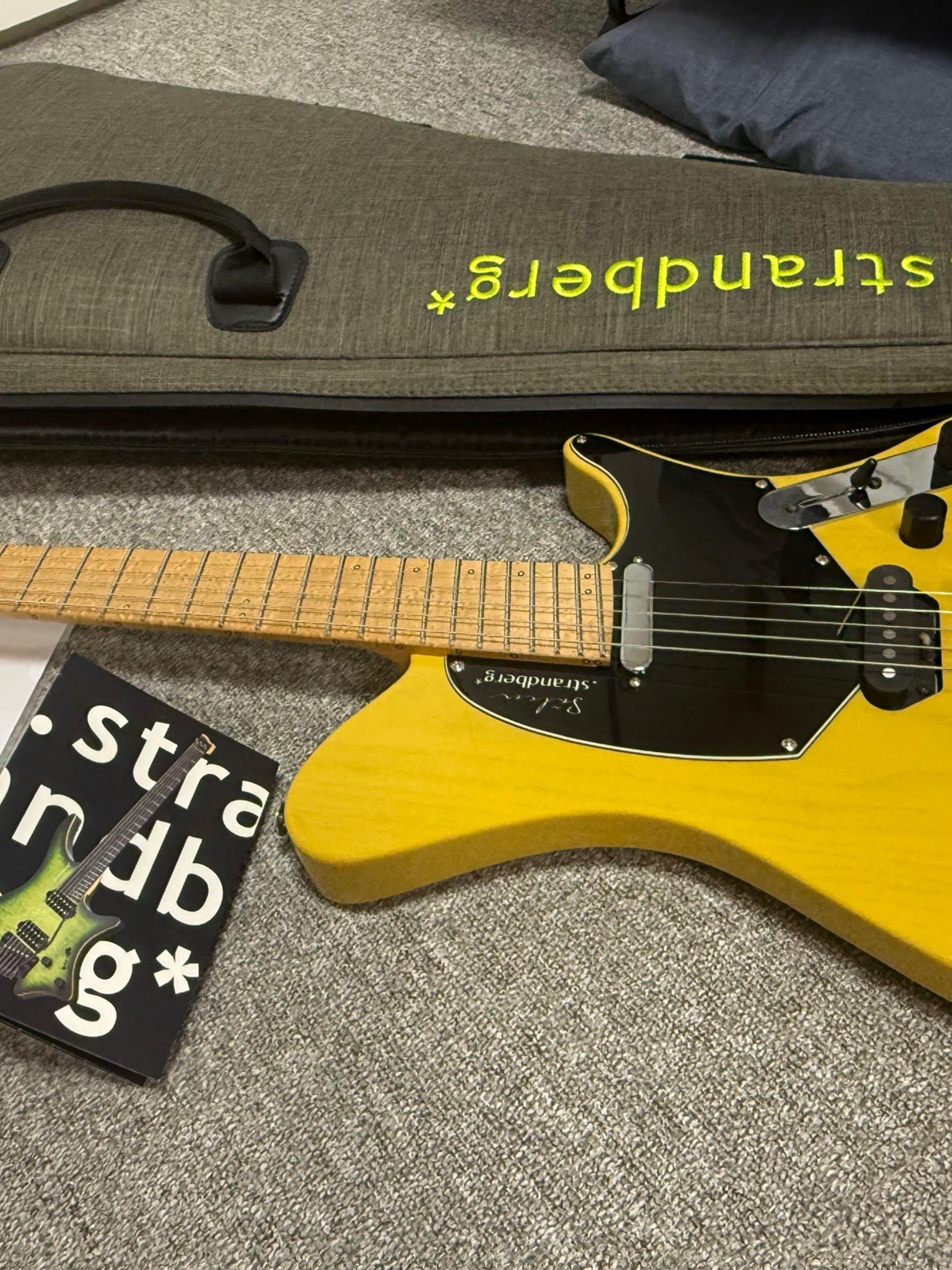 Strandberg (판매/교환) A급 스트랜드버그 strandberg 살렌 클래식 NX6