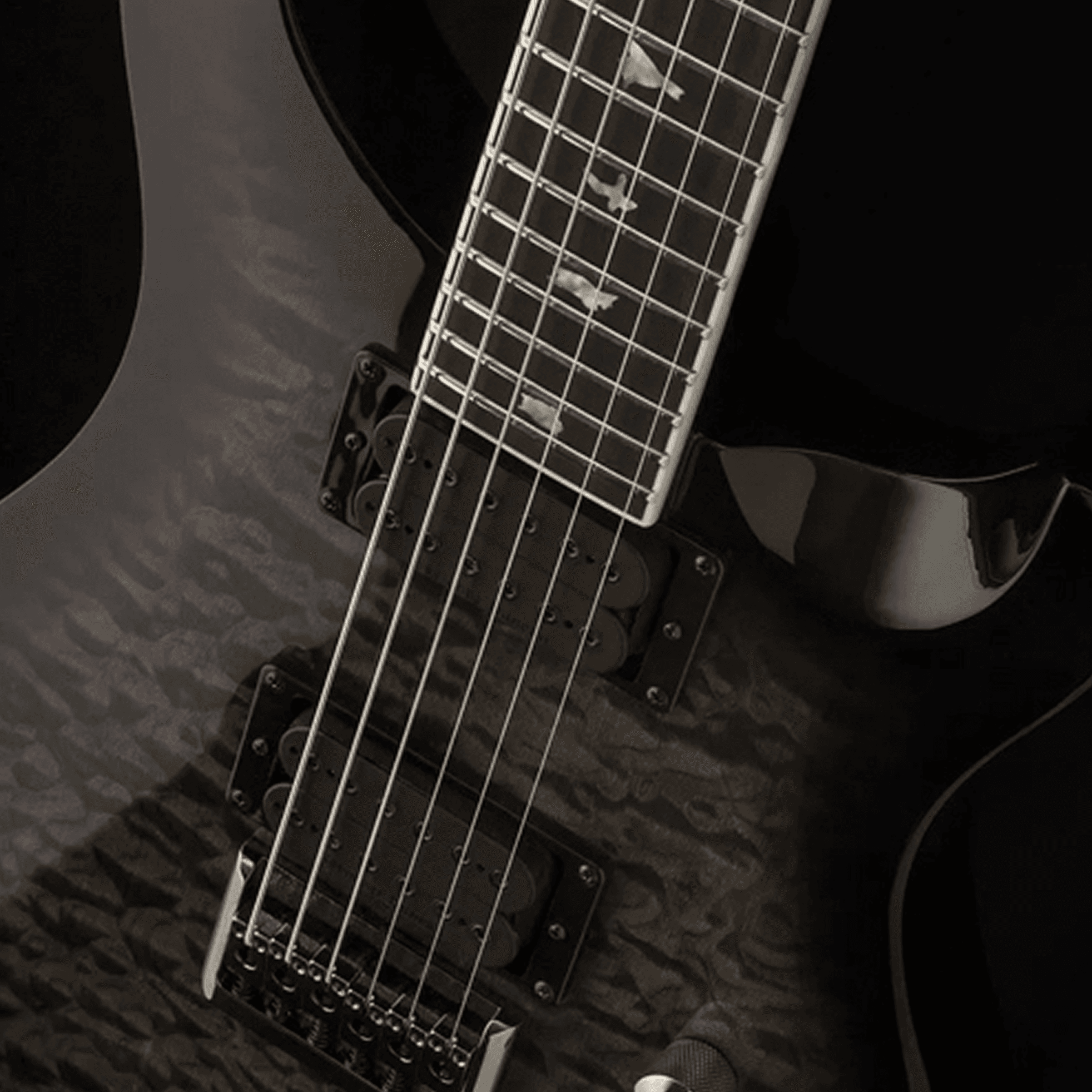 PRS Guitars PRS SE 2022 Mark Holcomb Signature - Holcomb Burst 사진 2