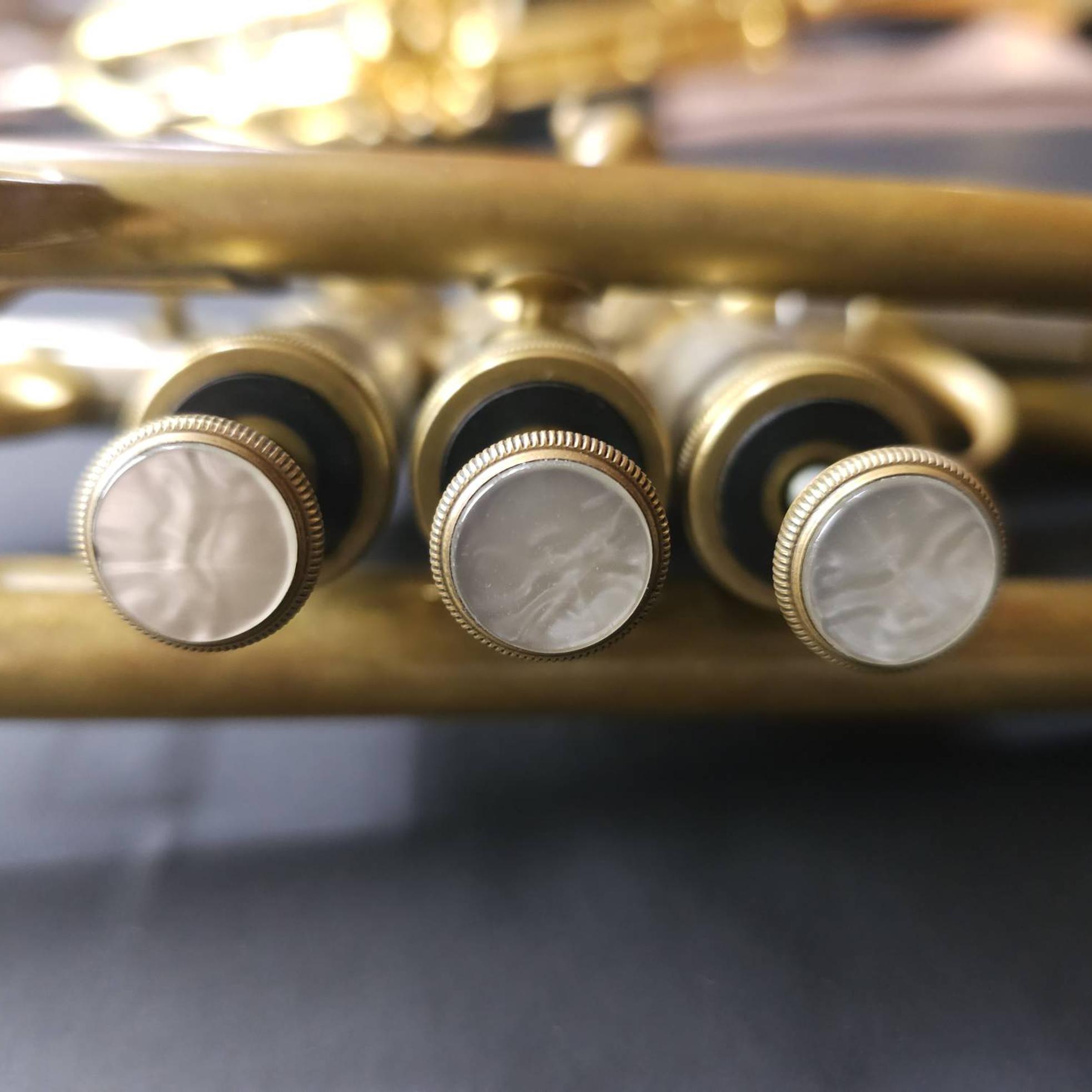 Early Chicago Monette C Trumpet #3** 사진 5