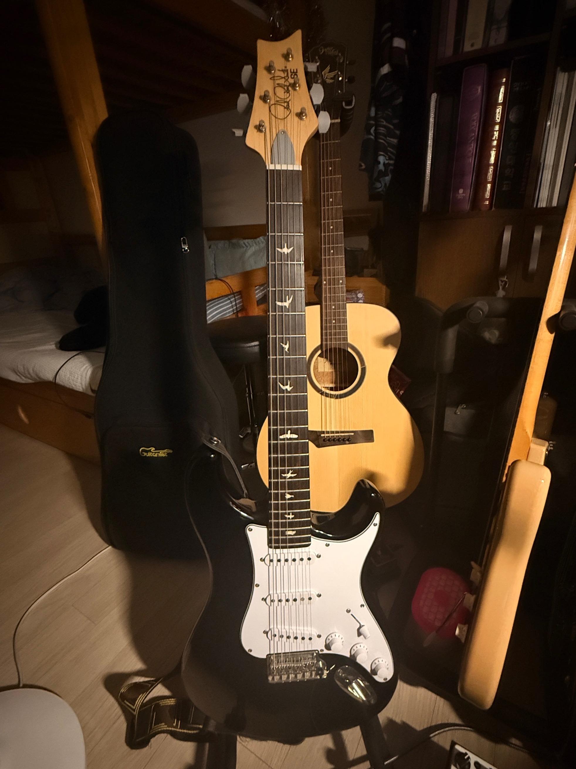 PRS Guitars PRS SE Silver Sky
