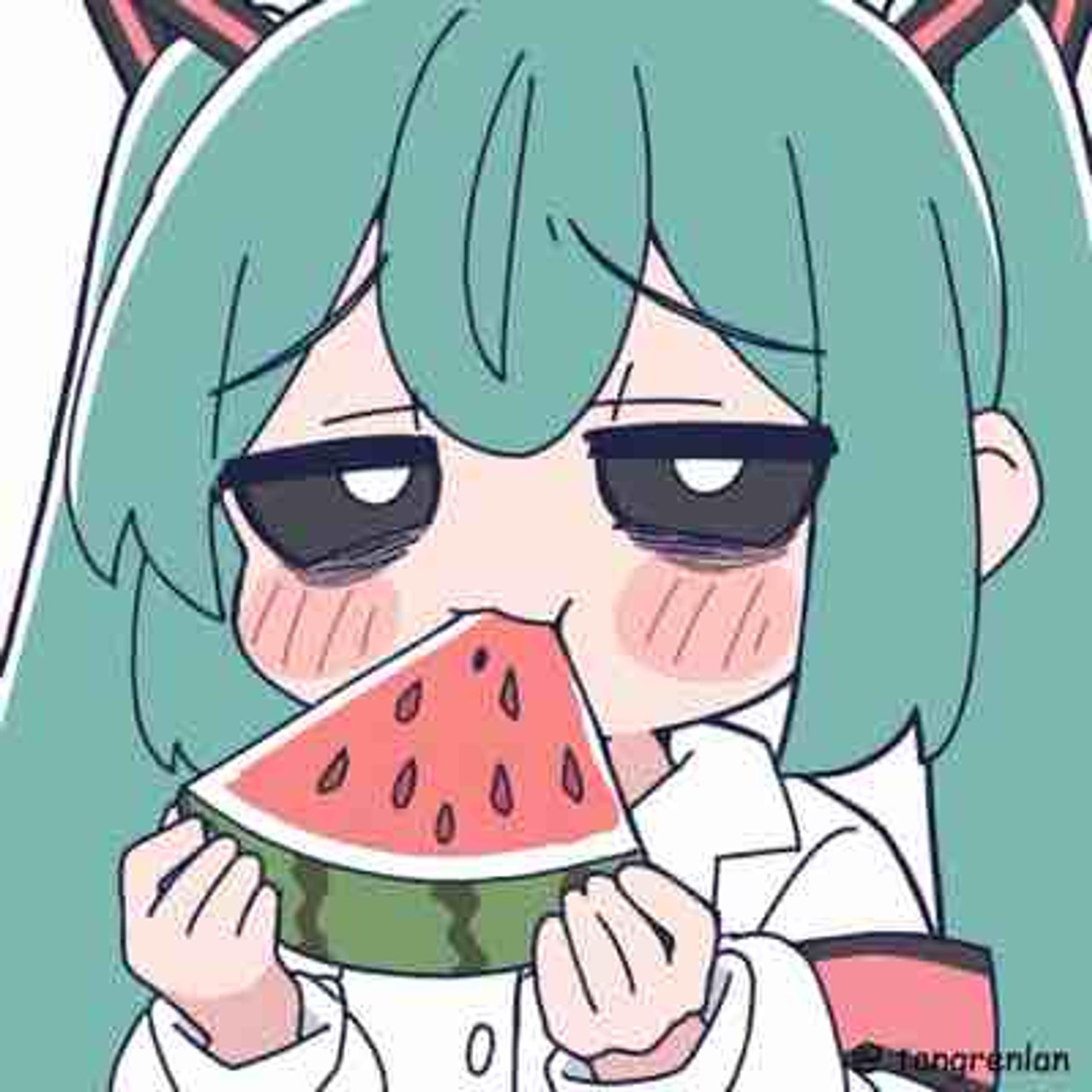 기타수박